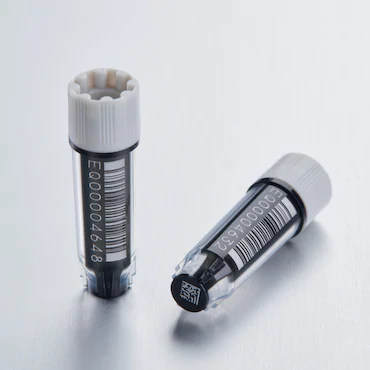 艾本德Eppendorf CryoStorage Vial，無菌, 無菌, 0.5 mL, 不含 DNase、RNase、人類 DNA 和內(nèi)毒素；外螺紋，預(yù)先加蓋灰色管蓋，帶 2D SafeCode 
